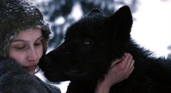 法国电影狼在线观看,法国惊悚电影,在线惊悚体验 第1张 法国电影狼在线观看,法国惊悚电影,在线惊悚体验 第1张