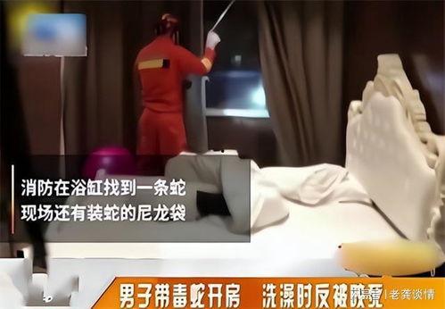 胁迫2在线观看,在线揭秘惊悚悬疑背后的真相 第1张 胁迫2在线观看,在线揭秘惊悚悬疑背后的真相 第1张